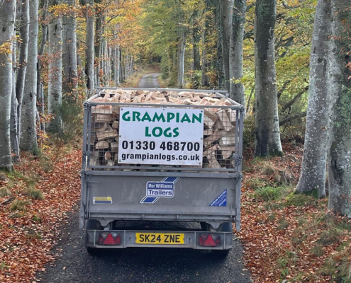 Grampian Logs trailer loaded with firewood on a woodland track