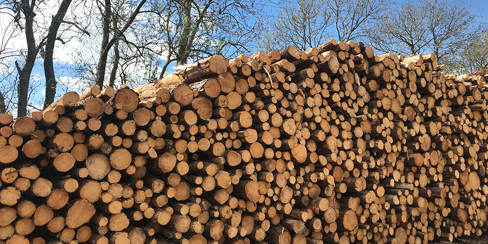 Stacked stovewood logs drying outdoors at the Grampian Logs